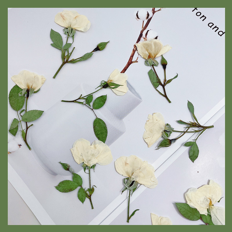 Wedding Card Box - 12 قطعة، أغصان ورد طبيعي أبيض